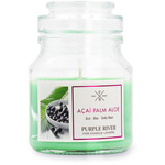 Bougie de soja parfumée Acai Palm Aloe Purple River 113 g