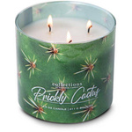 Colonial Candle Desert Collection sojowa świeca zapachowa w szkle 3 knoty 14.5 oz 411 g - Prickly Cactus