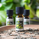 Teebaumöl ätherisch natürlich Aroma Dream 10 ml - Tea Tree