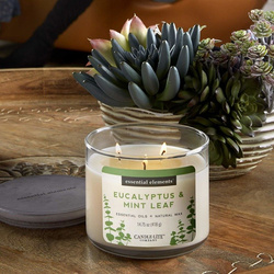Natural scented candle 3 wicks - Eucalyptus Mint Leaf Candle-lite