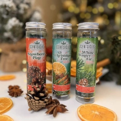Scentsicles Vonné tyčinky na vánoční stromeček Jedle 6 ks - White Winter Fir