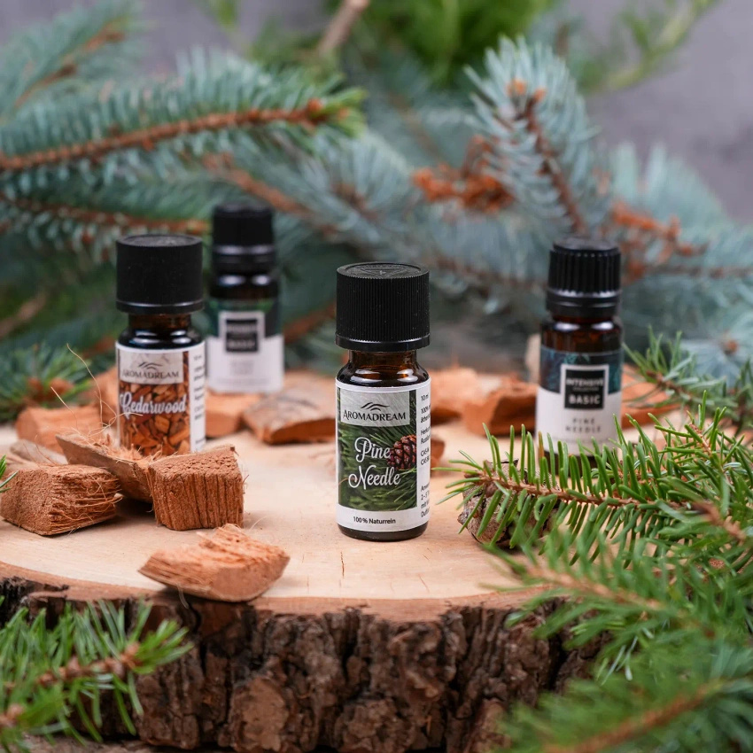 Kiefernnadelöl ätherisch natürlich Aroma Dream 10 ml - Pine Needle