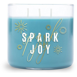 Colonial Candle Inspire sojowa świeca zapachowa w szkle Podziękowanie 3 knoty 14.5 oz 411 g - Spark Joy