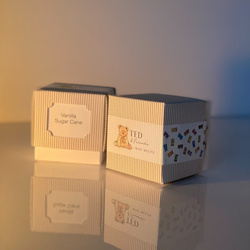 Wax melts soja teddyberen Perzik Citroen - Peachy Citron Ted Friends