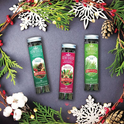 Scentsicles bastoncini profumati per l'albero di Natale 6 pz - O Christmas Tree