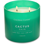 Ароматическая свеча соевая кактус - Cactus Rain Colonial