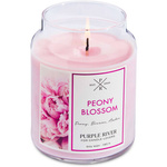 Bougie de soja parfumée Peony Blossom Purple River 623 g