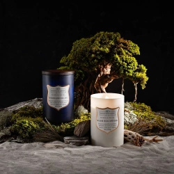 Vela perfumada para hombre de soja Warm Beachwood Colonial Candle