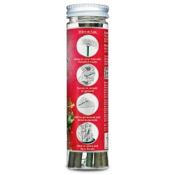 Duftstäbchen für den Weihnachtsbaum Scentsicles Snowberry Pine Hängender Weihnachtsschmuck 6 Stück  