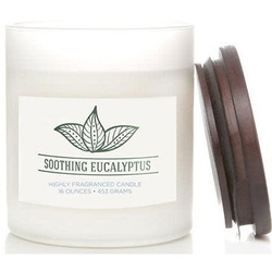 Colonial Candle świeca zapachowa sojowa w szkle naturalna 16 oz 453 g - Soothing Eucalyptus